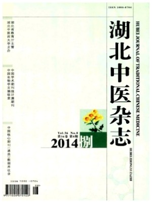 湖北中医