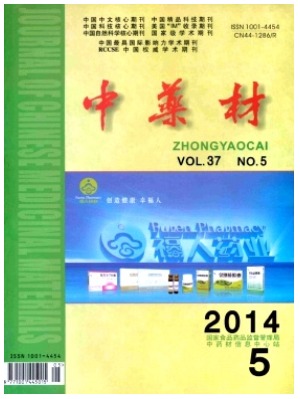中药材