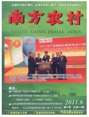 南方农村