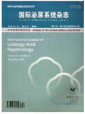 国际泌尿系统