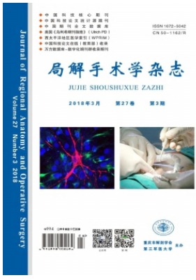 局解手术学