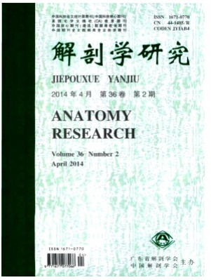 解剖学研究