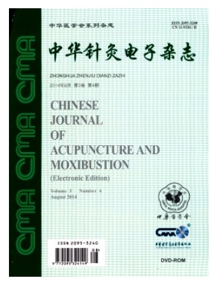 中华针灸电子