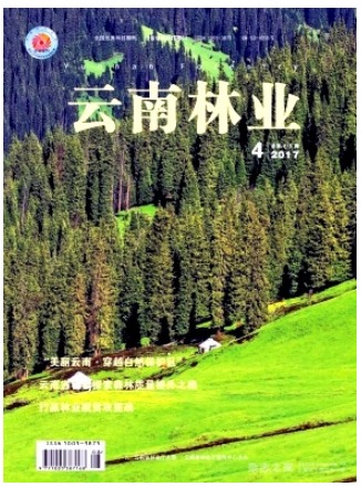 云南林业