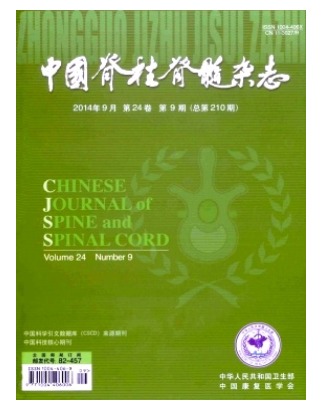 中国脊柱脊髓