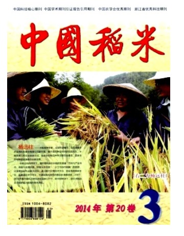 中国稻米