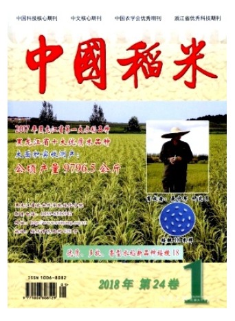 中国稻米