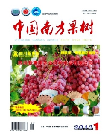 中国南方果树