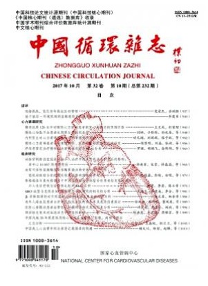 中国循环