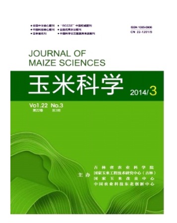 玉米科学