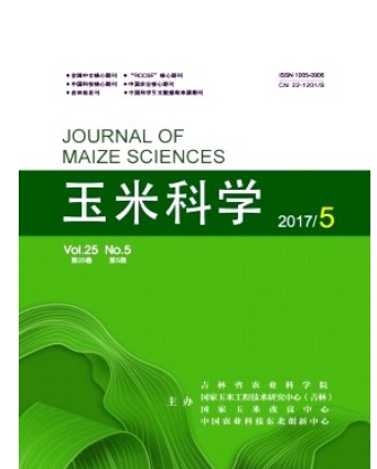 玉米科学
