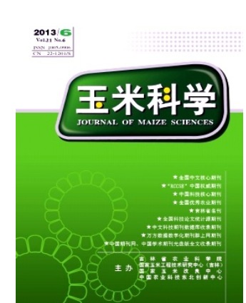 玉米科学