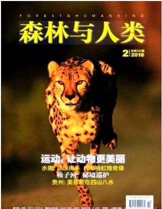森林与人类