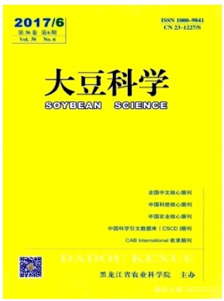 大豆科学