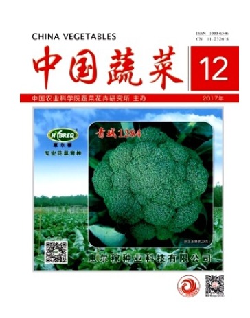 中国蔬菜