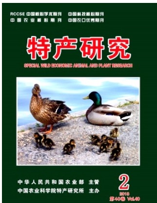 特产研究
