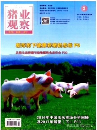 猪业观察