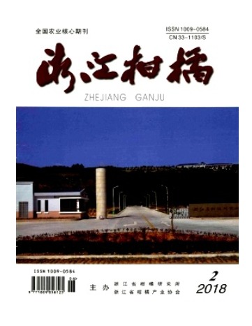 浙江柑橘