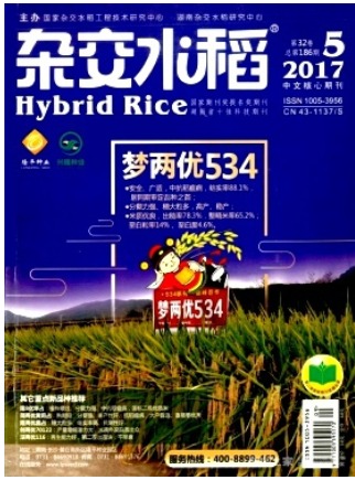 杂交水稻