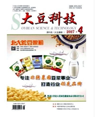 大豆科技