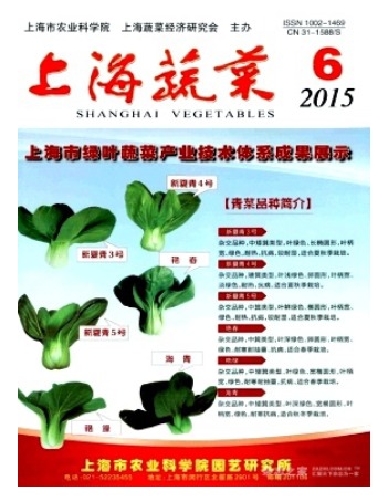 上海蔬菜