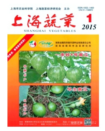 上海蔬菜
