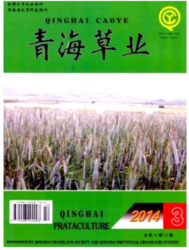 青海草业