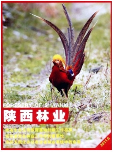 陕西林业