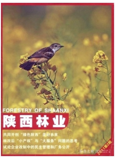 陕西林业