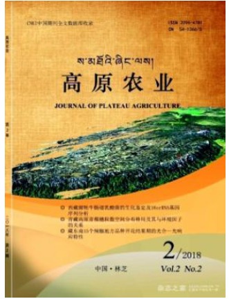 高原农业