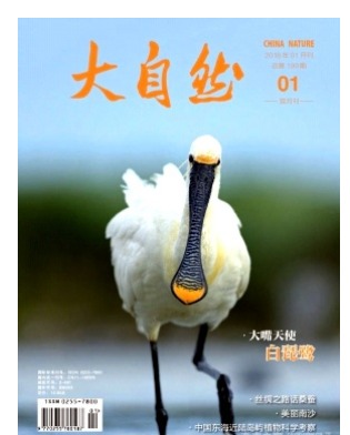 大自然