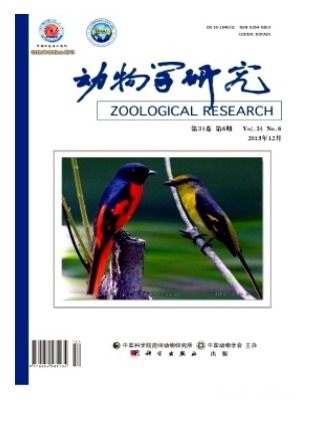 动物学研究