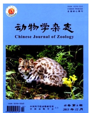 动物学