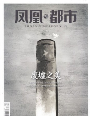 凤凰都市
