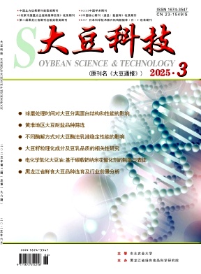 大豆科技