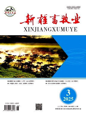 新疆畜牧业