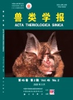 兽类学报