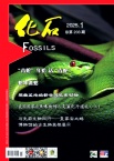 化石