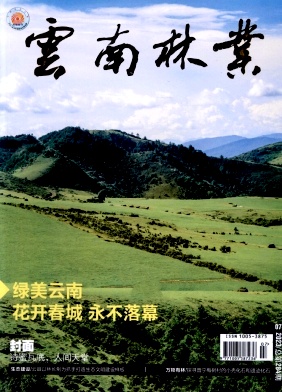云南林业