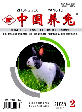 中国养兔