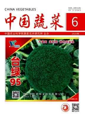 中国蔬菜